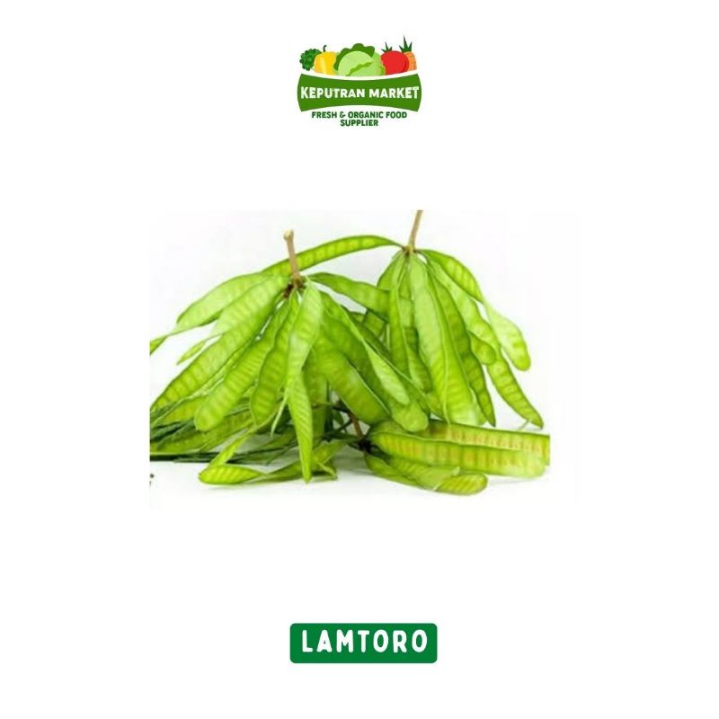 

Lamtoro / Petai Cina Per pack / Produk Langka