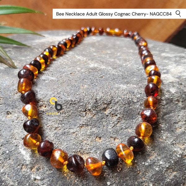 Kalung Amber Dewasa Premium Glossy Cognac Cherry by Amber Bee NAGCC84