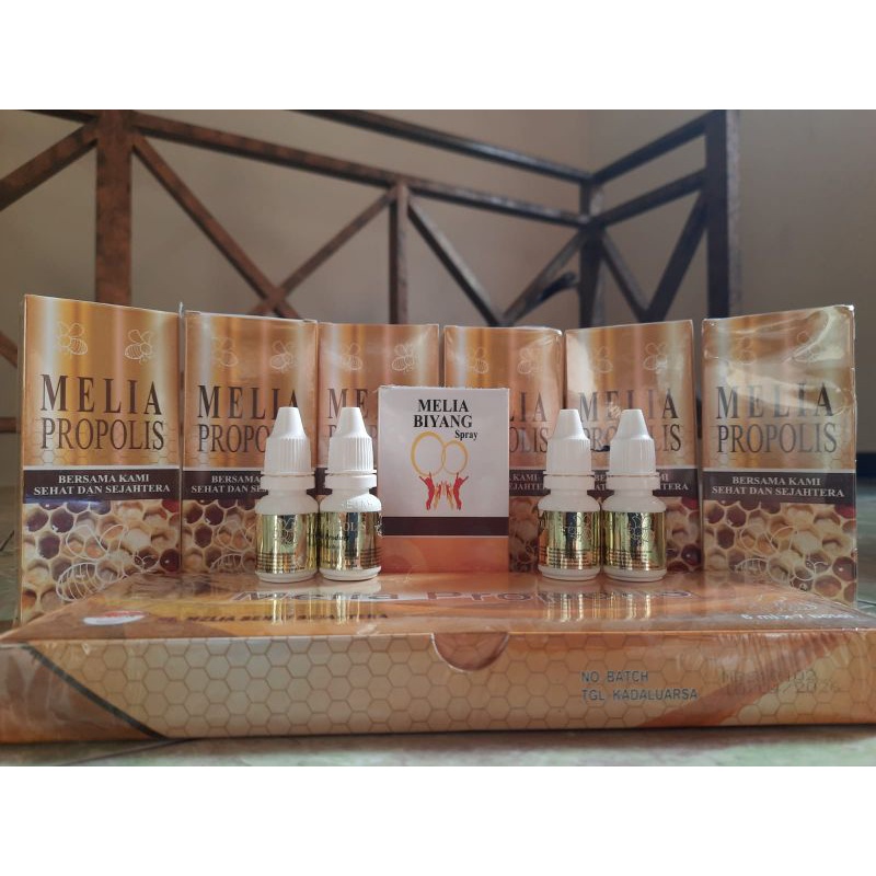 MELIA PROPOLIS/BIYANG