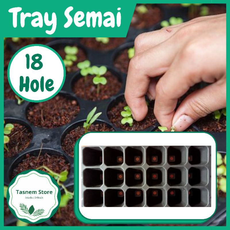 Pot Wadah Tempat Seeding Trai Tray Semai Plastik Benih Bibit Hidroponik Microgreen Tebal 18 Lubang