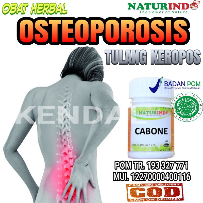 

Obat Osteoporosis Herbal Ampuh Tulang Keropos Pengapuran Nyeri Sendi Nutrisi Tulang