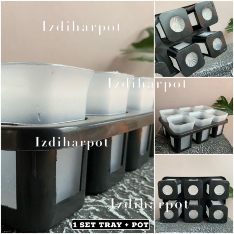 1 set Tray + pot nkt kotak 8 cm BENING TRANSPARAN | tray semai bibit