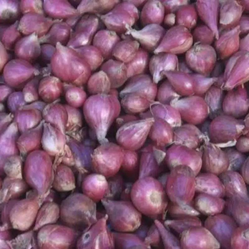 

Bawang merah 1 kilogram