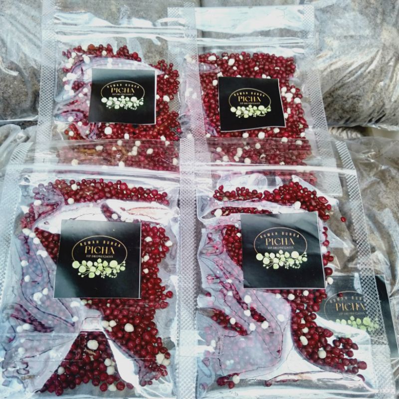 Pupuk merah slow release irit biaya dan tenaga