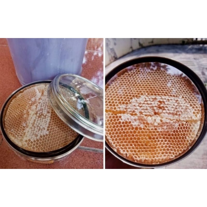 

Madu Yaman Sarang Sidr