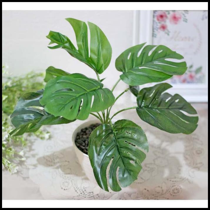 Daun Plastik Daun Ekor Naga Monstera Tropical Leaf Pot Tawon 12cm Yu278fe Shopee Indonesia