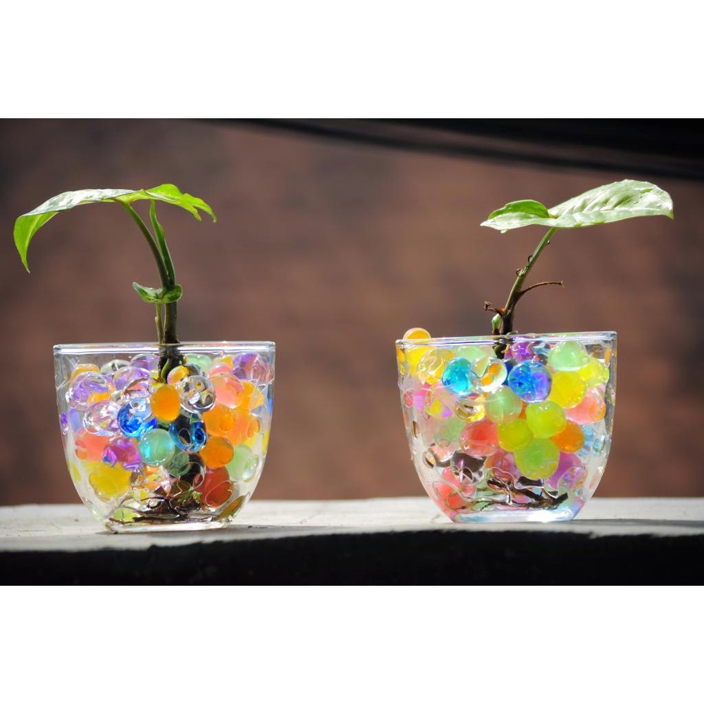 Media Tanam Hidrogel