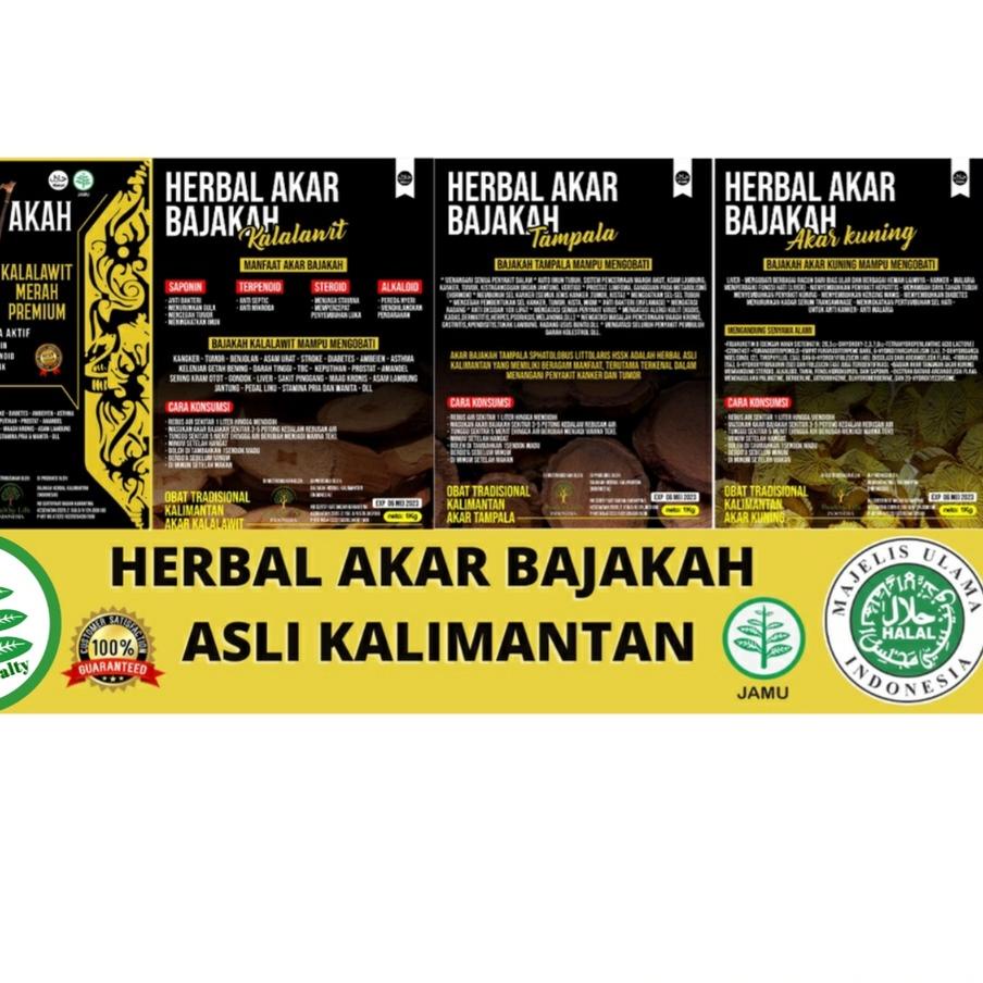 

#alltrend Teh Herbal Bajakah Kalalawit Merah Black Premium Obat Kanker Dan Benjolan Asli Kalimantan ⚡COD⚡