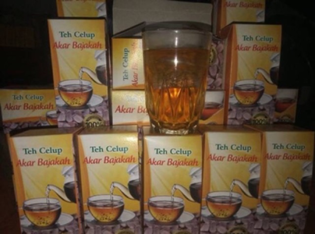 TEH CELUP AKAR BAJAKAH TAMPALA 25PCS herbal obat kanker dan tumor teh bajakah siap seduh nablfashion