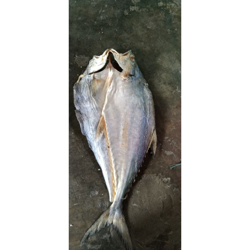 

Ikan Asin Talang Bumbu ½ Kg