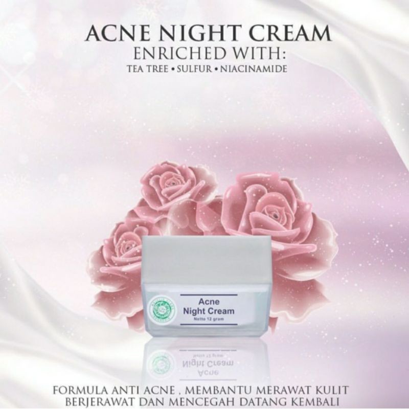 

Hempaskan jerawat Dengan Night Cream Acne