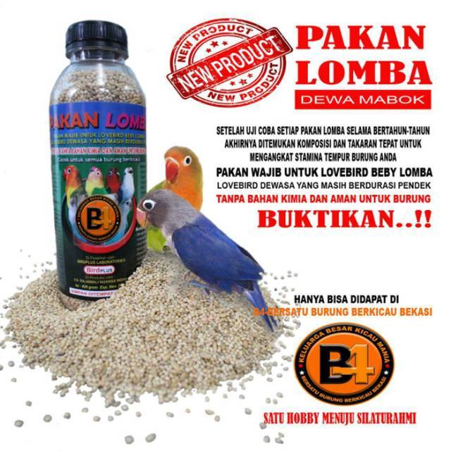 Dewa Mabok Pakan Wajib Untuk Lovebird Baby Lomba Dan Dewasa Pemula
