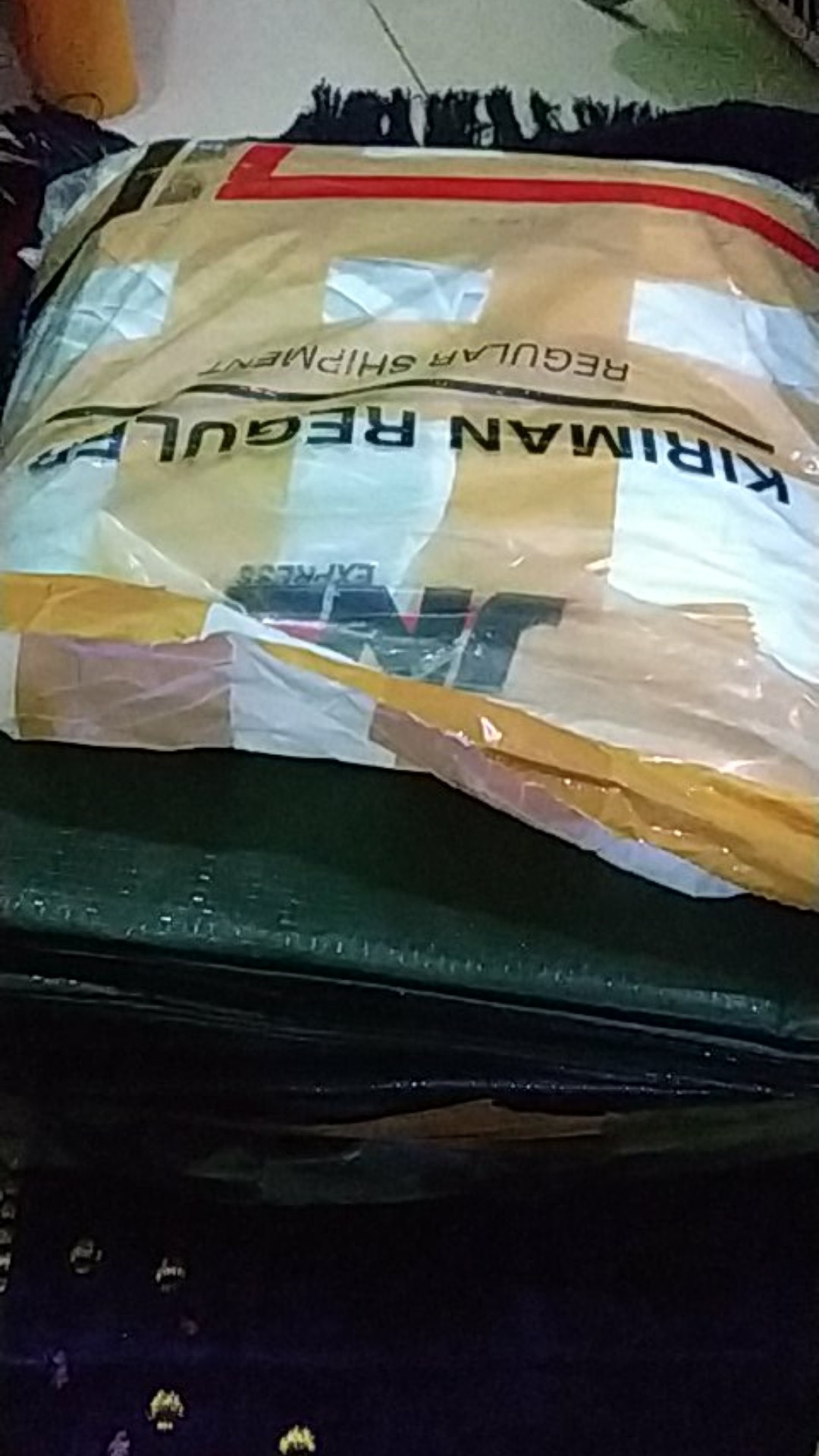 Easy Grow Hedge Bag (large)