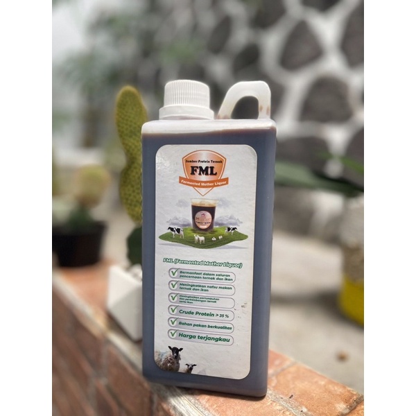 FML Ajinomoto 1L Protein Pelengkap Pakan Ternak