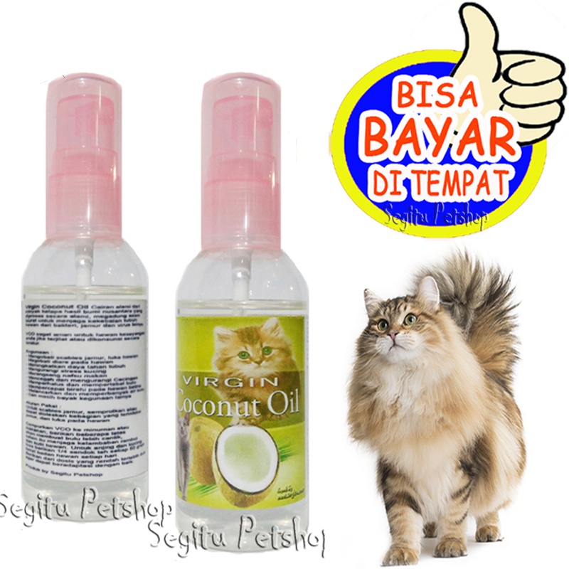 Obat Jamur Luka Cacing Scabies Kucing Penumbuh Bulu VCO