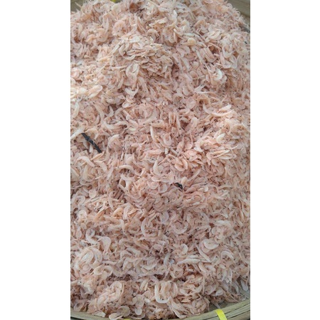 

REBON JERUK ebi atau rebon