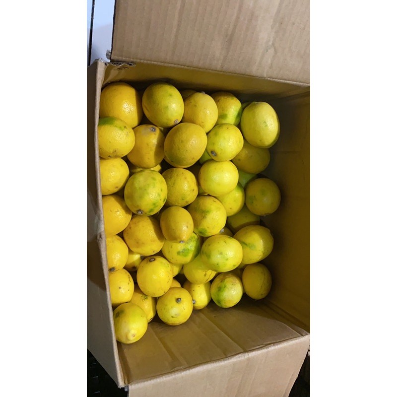 Jeruk Lemon California Kualitas Riject by Suur Lemoen ID 500 gram