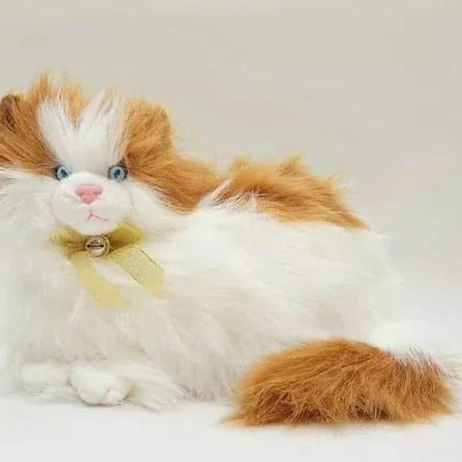 Boneka Kucing Anggora Lucu