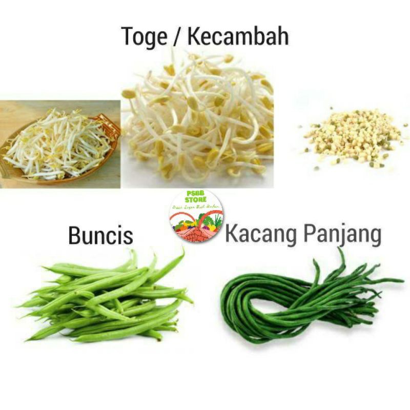 

PASAR GUBENG - Sayur Segar - Tauge / Kecambah / Toge Panjang / Kacang Panjang / Buncis - pack