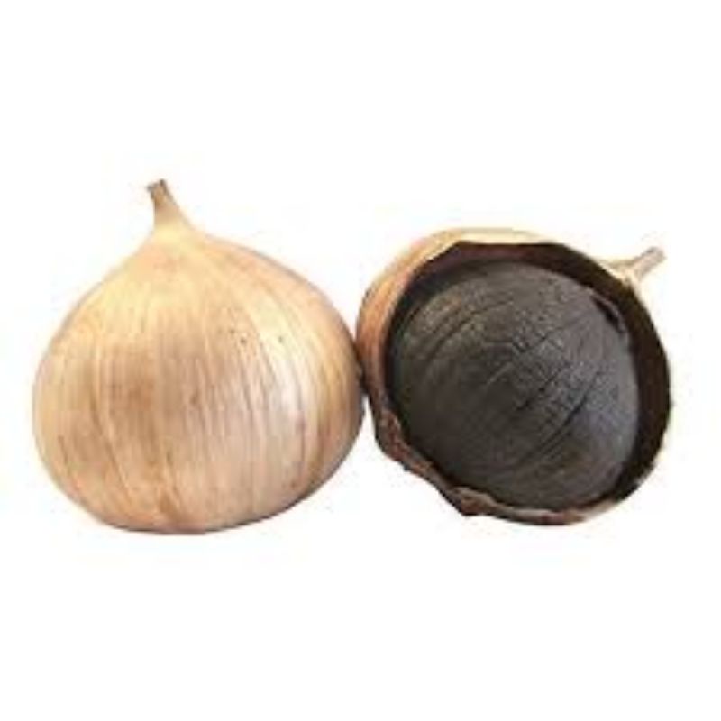 black garlic tunggal