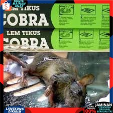 Lem Tikus / Jebakan Tikus / Cobra / Lem Tikus Cobra Super Lengket Ampuh &amp; Berkualitas  Best Seller