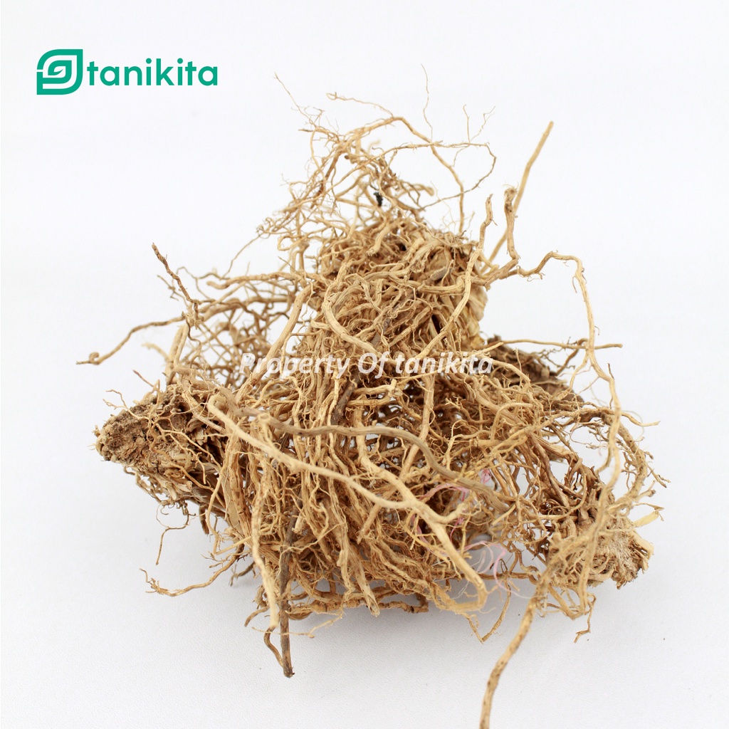 Akar Wangi Kering Asli 1kg