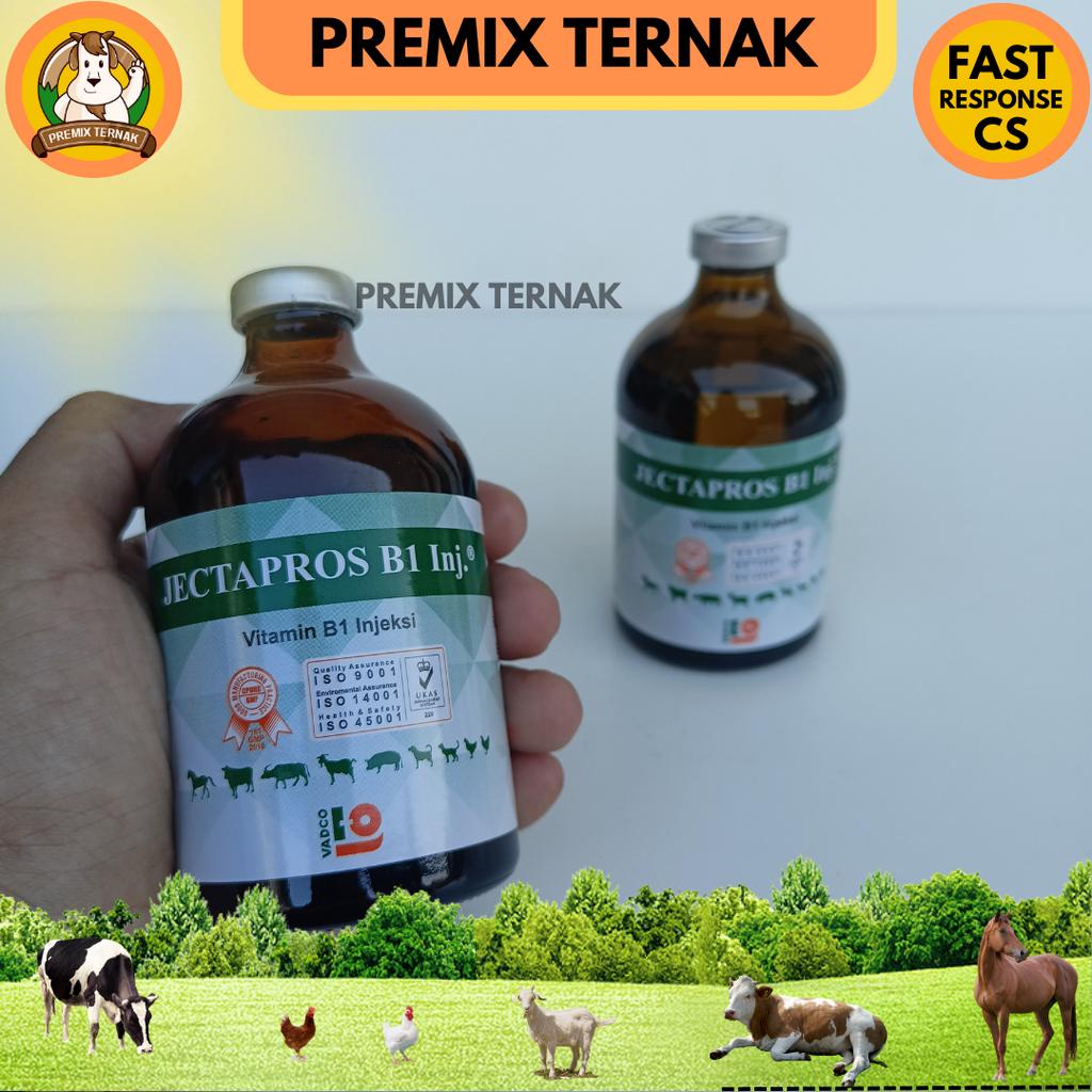 PROMO JECTAPROS B1 - Vitamin B1 Hewan Sapi Kambing Domba dll - Like B1 Wonder