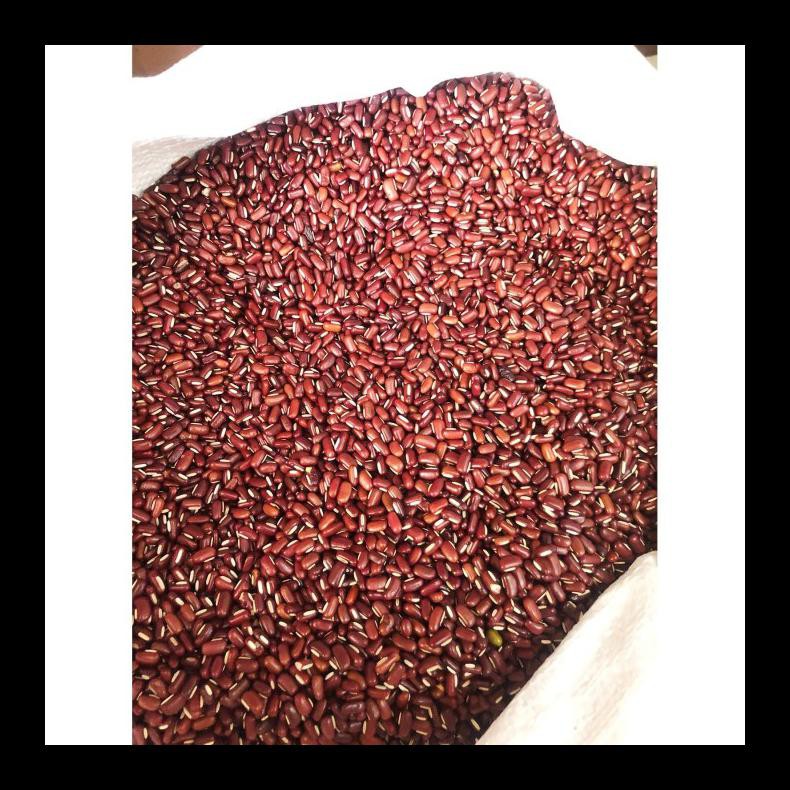 

BARU! KACANG MERAH KECIL / KACANG ES IMPORT 1 KG MURAH