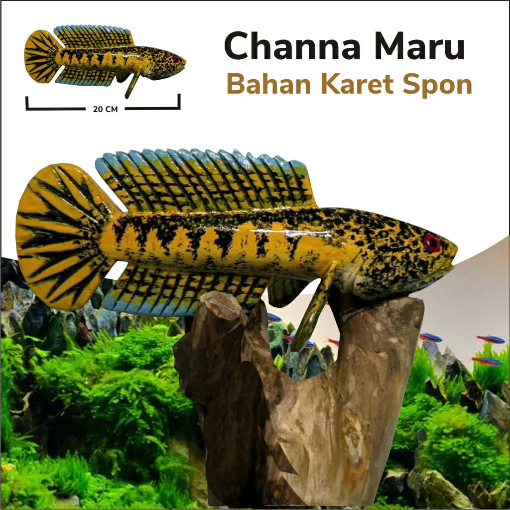 JUAL PATUNG CHANNA MARU BAHAN SPON UNTUK MELATIH CHANNA AGRESIF