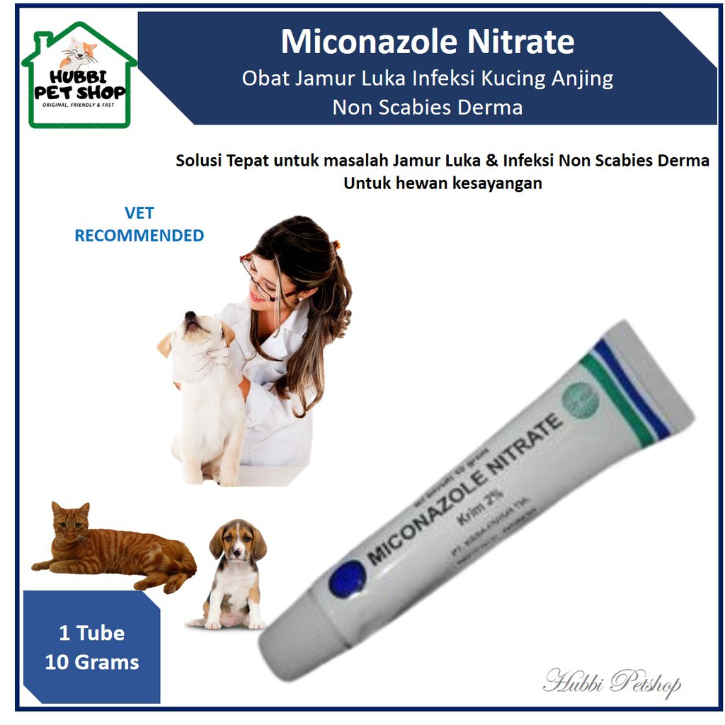 OBAT SALEP MICONAZOLE NITRATE CREAM 10gr | Salep Jamur Kucing | Cream Jamur Kulit | Salep Luka Jamur Kucing anjing