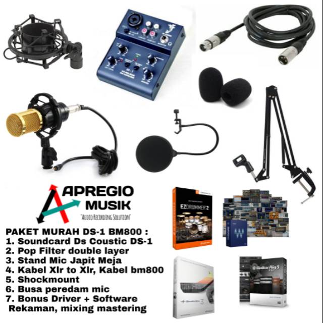 Paket Home Recording DS1 BM800
