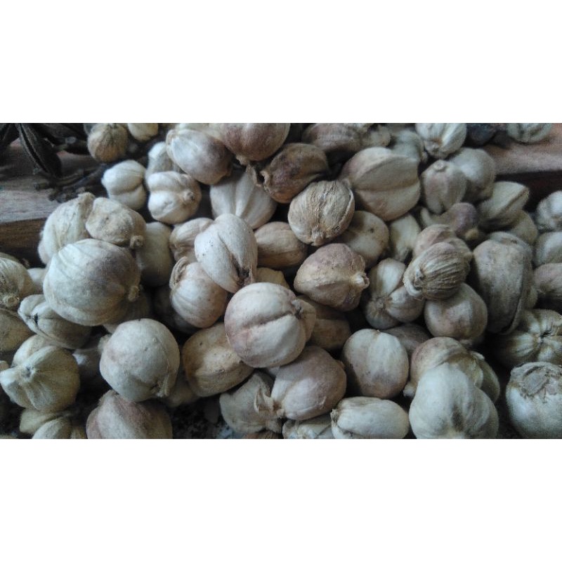 

Kapulaga Cardamom Lokal Kapol Jawa kering 50 gr, 100 gr