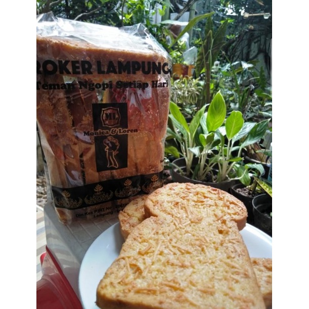 

TERLARIS Roker Lampung