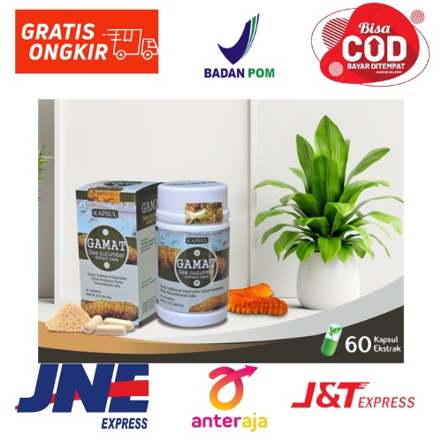

Obat Kolesterol - Diabetes -Luka Pasca Operasi - Ekstrak GAMAT EMAS tazakka isi 60Kapsul/botol sudah BPOM HALAL dan ORIGINAL