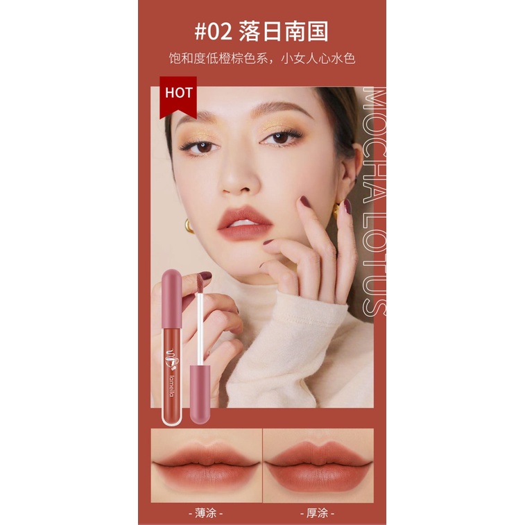 Lameila Lip Glaze Matte Lipstick Anti Air Lipstik Velvet Lip Gloss DJ 1041