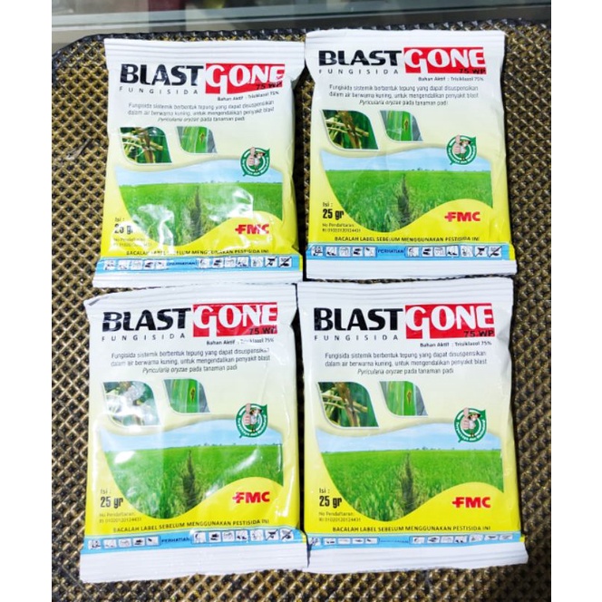 Fungisida Blastgone 75WP @25gr