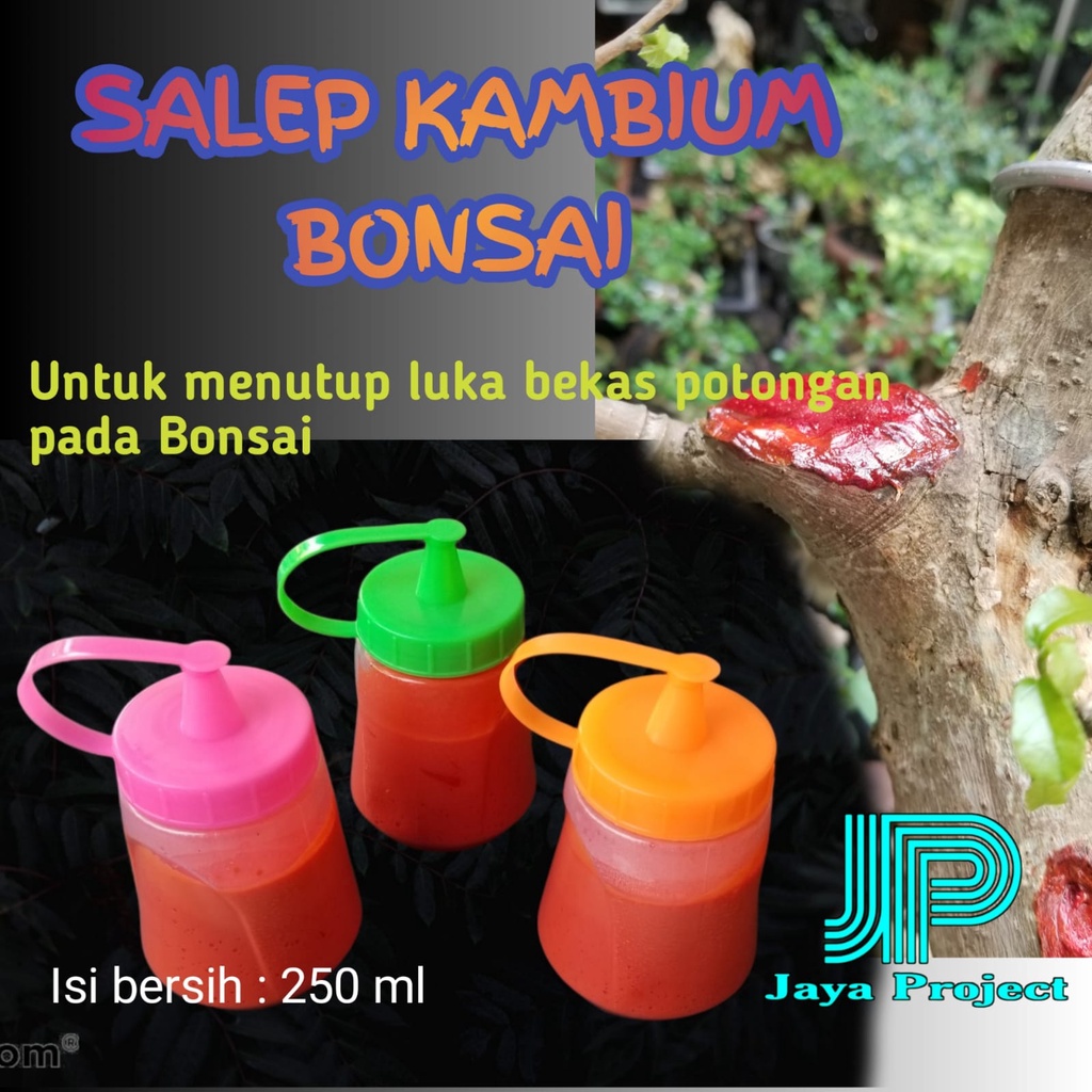 Salep Kambium Untuk Menutup Luka Karena Bekas Potongan Pada Tanaman hias Dan Bonsai