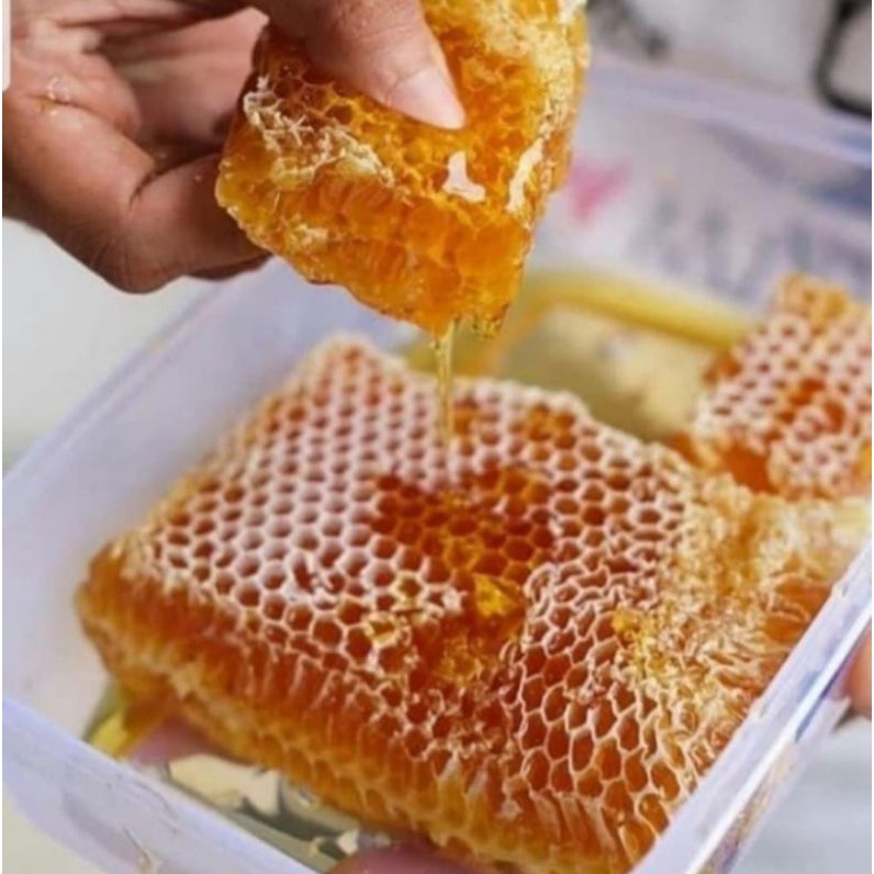 

MADU SARANG - COMB HONEY - RAW HONEY 500 GRAM