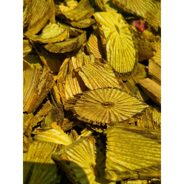 Akar Bajakah Kuning Super 1Kg Obat Herbal Diabetes, Asam Urat, Asam Lambung,Maag,Liver,Jantung-6