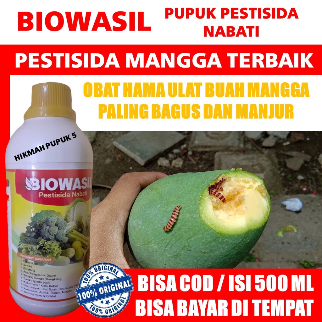 BIOWASIL PESTISIDA HAMA ULAT BUAH PADA MANGGA MURAH TAPI AMPUH Biowasil Obat Hama Ulat Buah Paling B