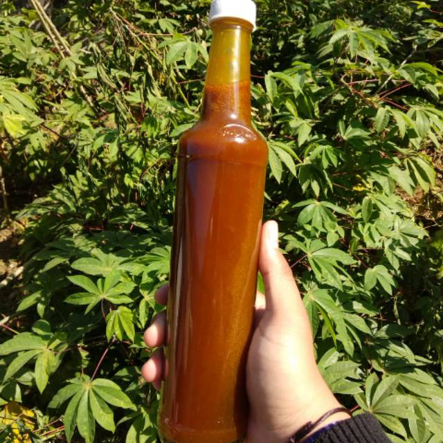 

Madu Klanceng