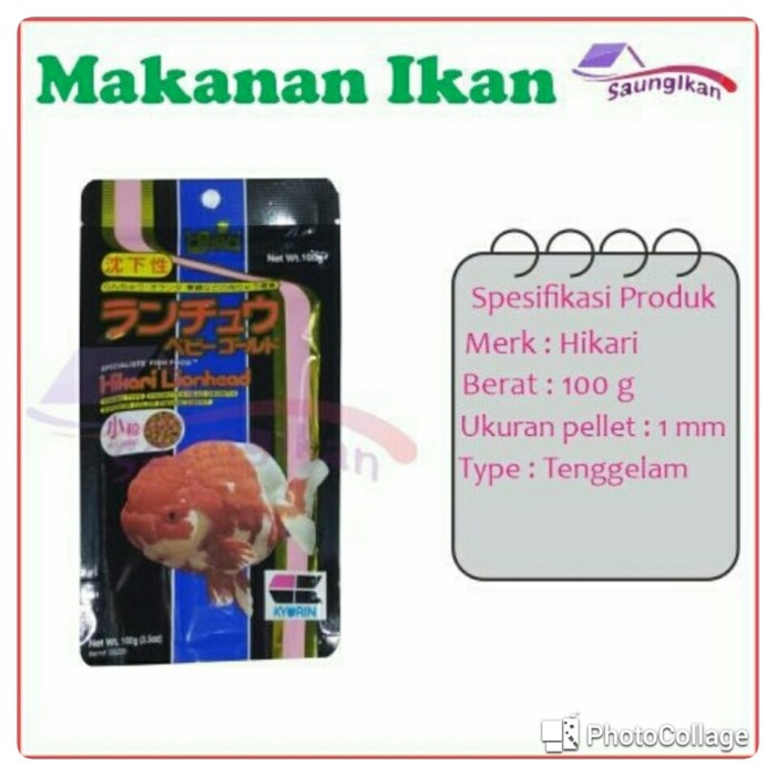 PAKAN IKAN MAS KOKI HIKARI LIONHEAD LION HEAD SINKING 100 GRAM