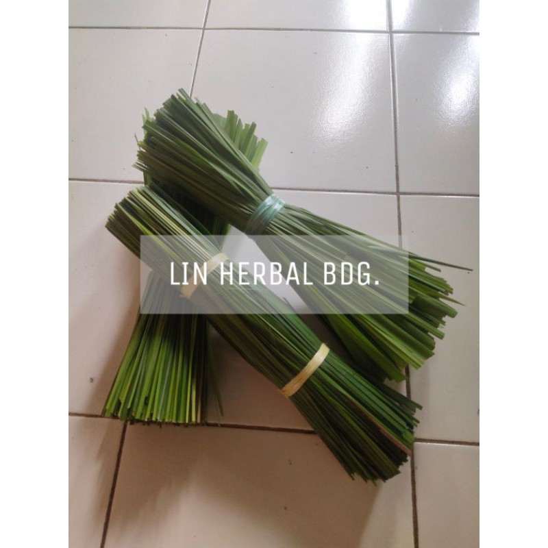 

daun alang alang segar paket 1 kg