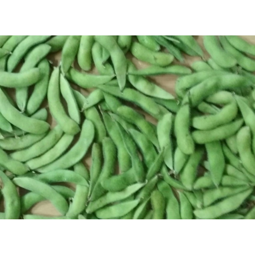 Edamame / Kedelai Hijau / Green Vegetable Soybeans / 0.5 Kg