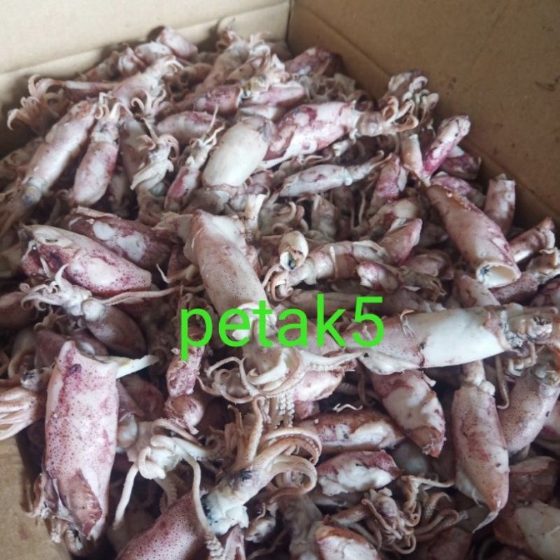 

Cumi asin 10kg/cumi asin rebus/cumi asin basa
