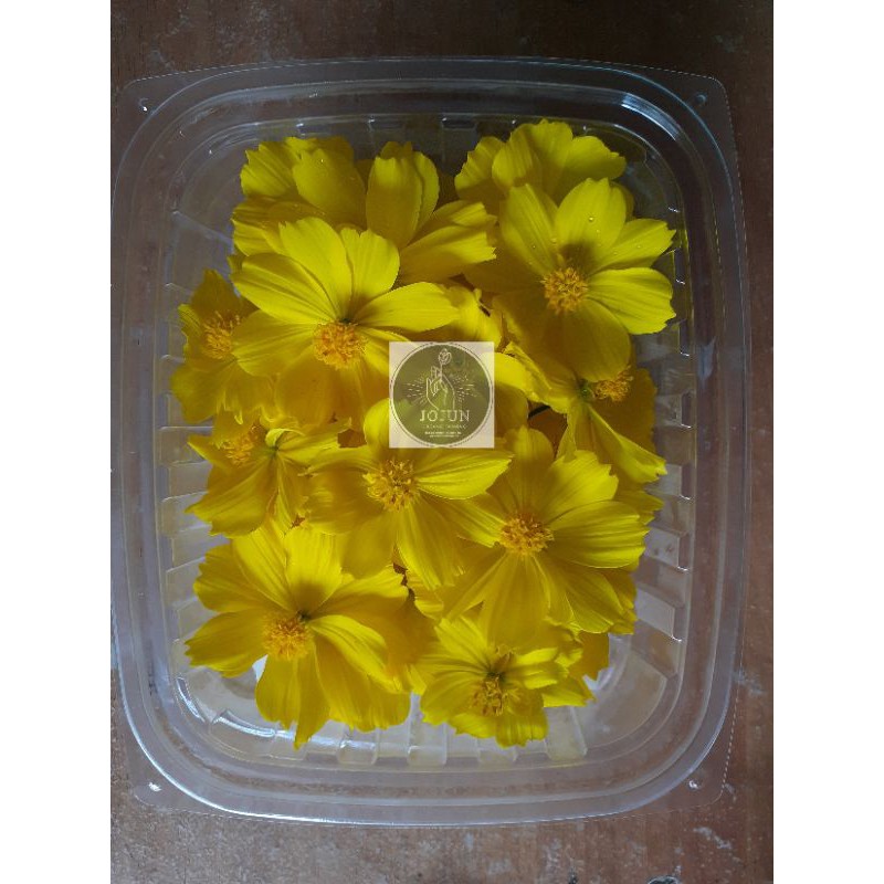 

MURAHHHHHH edible flowers yellow cosmos