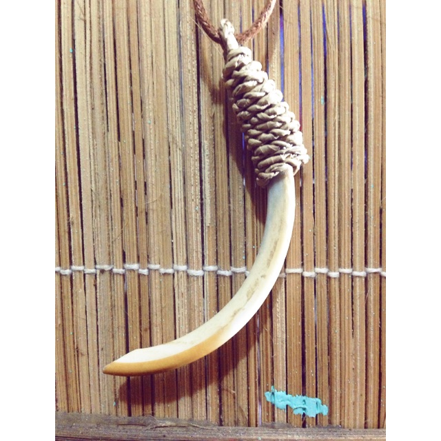 Kalung taring landak hutan etnik handmade