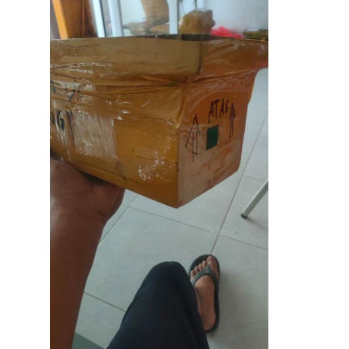 Model Baru➠ koloni klanceng terminata ( trigona kelulut teuweul ) di dalam stup J60 ✷