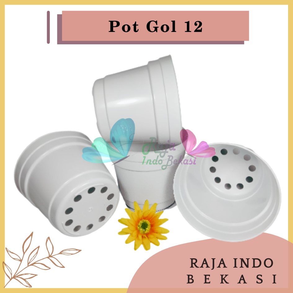 Rajaindobekasi Pot 12 Putih Polos - Pot 12 Cm Putih Kecil Mini Minimalis Plastik Kaktus Sukulen Mini Murah Pot Bibit Pembibitan