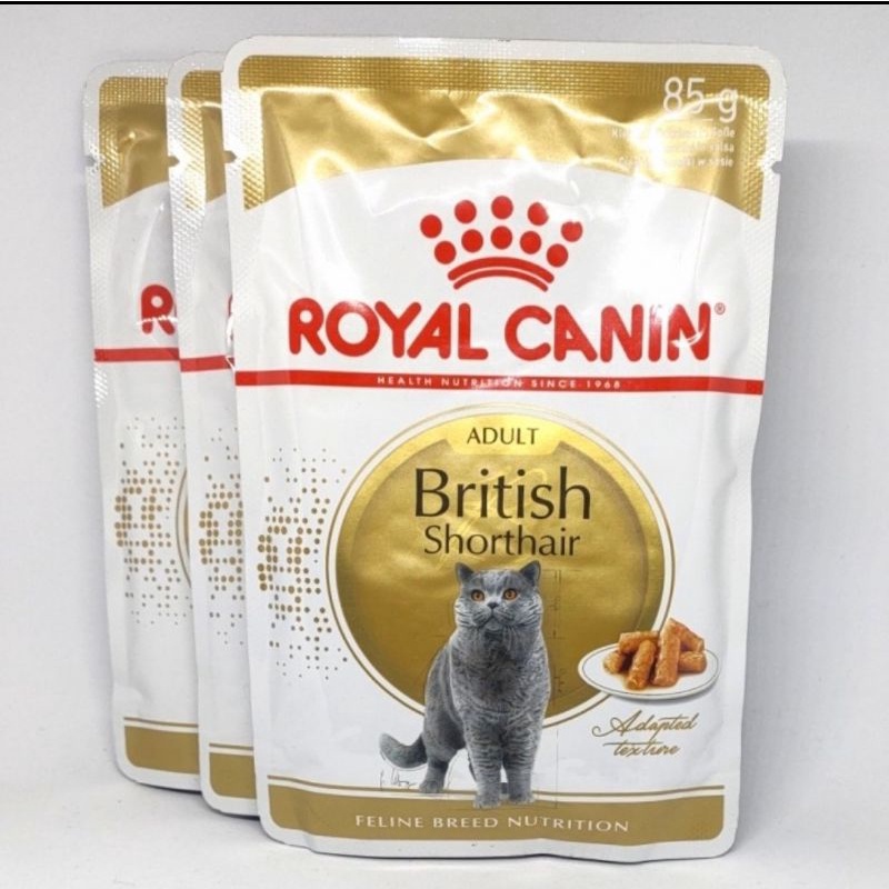 Royal Canin British Shorthair Adult Pouch 85 Gr Rc Bsh Adult - Makanan Kucing Wet Food
